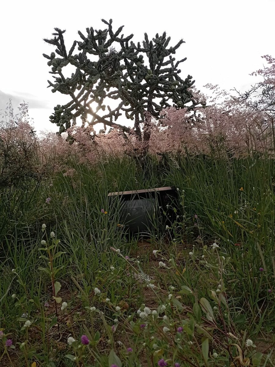 An abandoned television left to decay in the brush, symbolizing the erosion of traditional media’s influence. (CC BY‑SA 4.0).